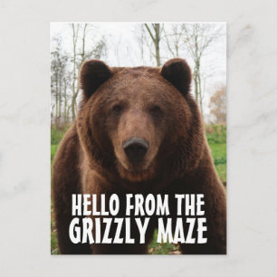 GRIZZLY MAZE GRIZZLY BEAR ANSICHTKAARTEN BRIEFKAART