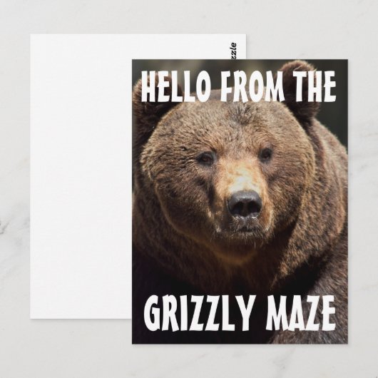 GRIZZLY MAZE GRIZZLY BEER BRIEFKAARTEN (Voorkant / Achterkant)