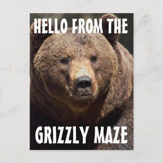 GRIZZLY MAZE GRIZZLY BEER BRIEFKAARTEN (Voorkant)