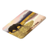 Grizzly Pond Magneet (Linkerzijde)