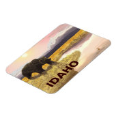 Grizzly Pond Magneet (Linkerzijde)