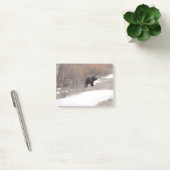 Grizzly Post-it® Notes (Kantoor)