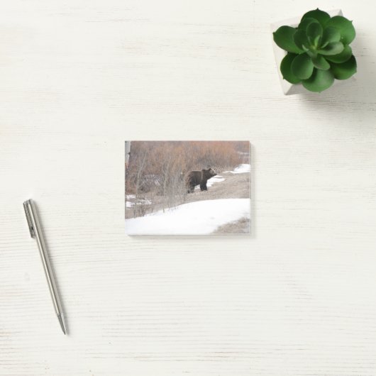 Grizzly Post-it® Notes (Kantoor)