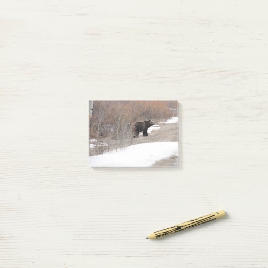 Grizzly Post-it® Notes (Op bureau)