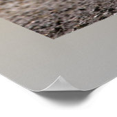 Grizzly Poster (Hoek)