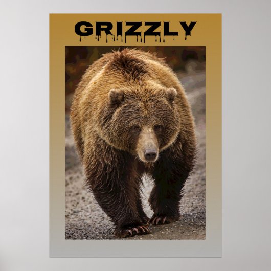 Grizzly Poster (Voorkant)