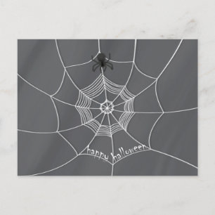 Grizzly Spin in Spinneweb Wenskaart Briefkaart