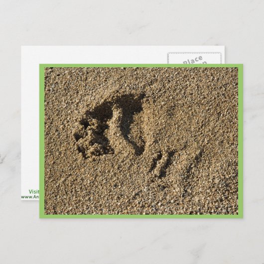 Grizzly track briefkaart (Voorkant / Achterkant)