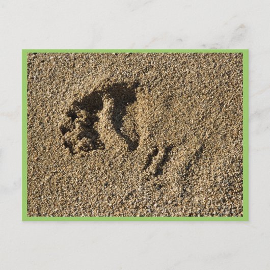 Grizzly track briefkaart (Voorkant)