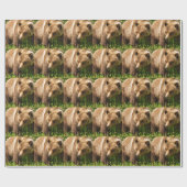 Grizzlybeer Kodiak Inpakpapier (Vlak)