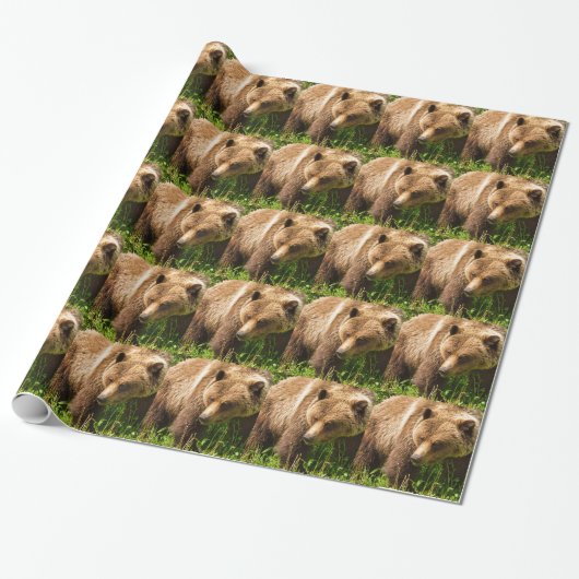 Grizzlybeer Kodiak Inpakpapier (Uitgerold)
