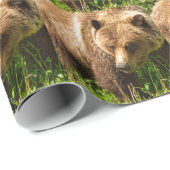 Grizzlybeer Kodiak Inpakpapier (Rol Hoek)