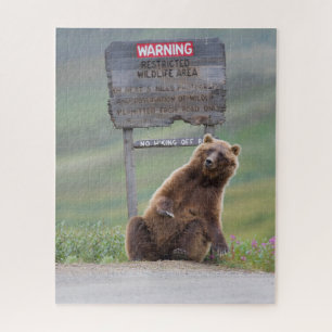 Grizzlybeer speelt met bord legpuzzel