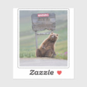 Grizzlybeer speelt met bord sticker (Vel)