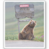 Grizzlybeer speelt met bord sticker (Voorkant)