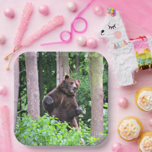 Grizzlybeer Staande Hoge Papieren Borden Bordje