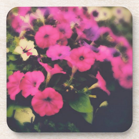 Grocery Store Flowers Bier Onderzetter (Voorkant)