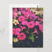 Grocery Store Flowers Briefkaart (Voorkant / Achterkant)