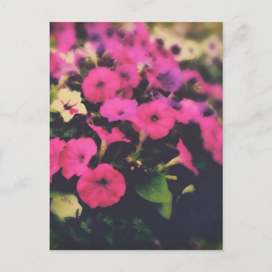 Grocery Store Flowers Briefkaart (Voorkant)