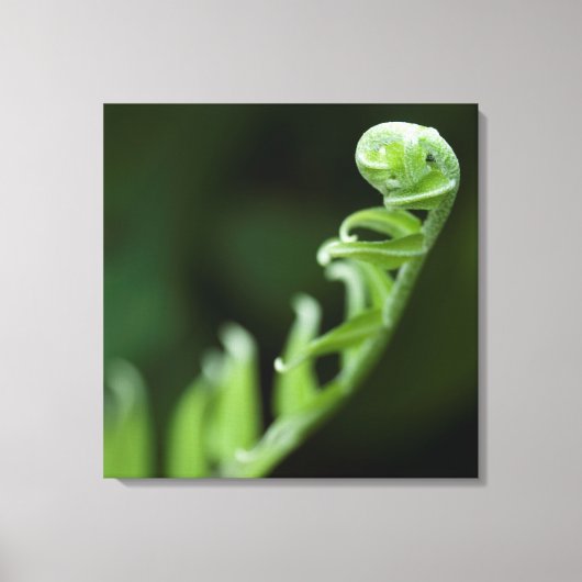 Groei Canvas Afdruk (Voorkant)