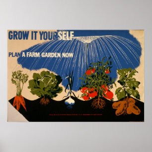 Groei het zelf Plant een Boerderij tuin Vintage 19 Poster