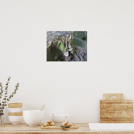 Groei in de tuinen van Limahuli Poster (Keuken)