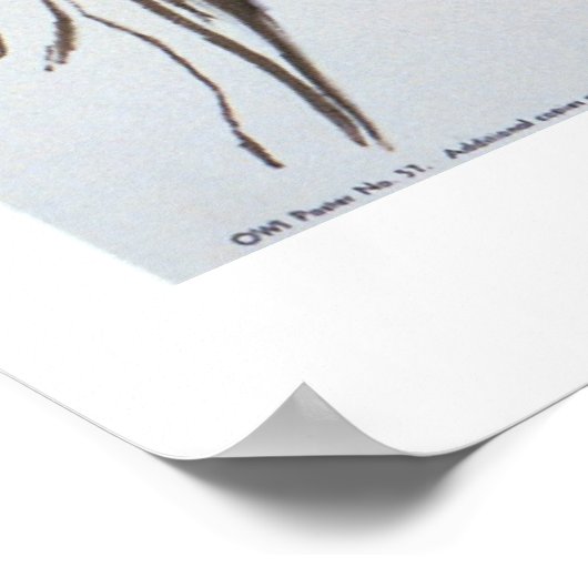 "Groei je eigen, kan je eigen" WWII-Poster Poster (Hoek)