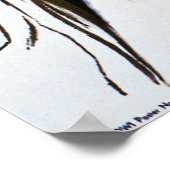 Groei je eigen, kan je je eigen poster (Hoek)