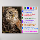 Groei Mindset Owl Poster (Voorkant)