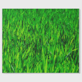 Groei van gras- en weidegras cadeaupapier (Vlak)