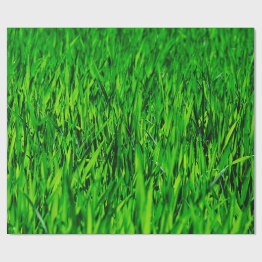 Groei van gras- en weidegras cadeaupapier (Vlak)