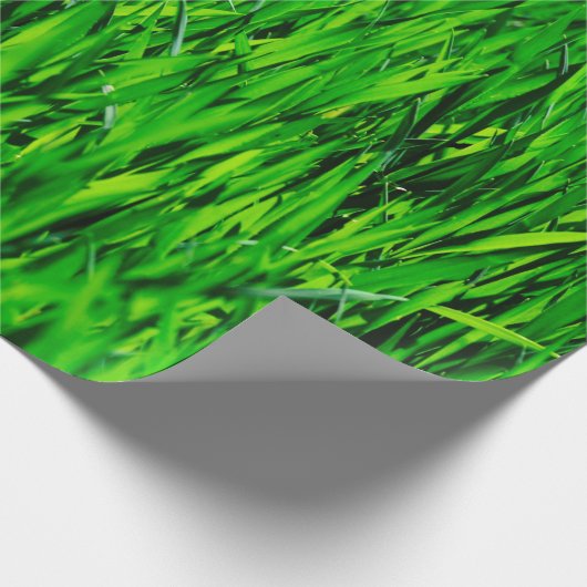 Groei van gras- en weidegras cadeaupapier (Hoek)