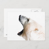 Groei van poolbeer briefkaart (Voorkant / Achterkant)