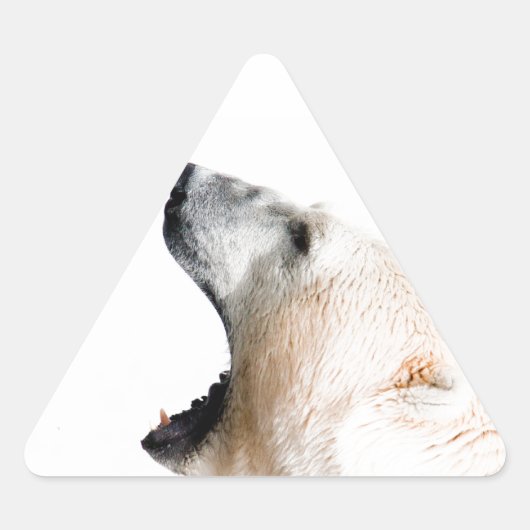 Groei van poolbeer sticker (Voorkant)