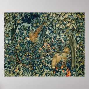 GROEIEN, BOSLANDSE DIEREN, fazant, vos, groene pla Poster