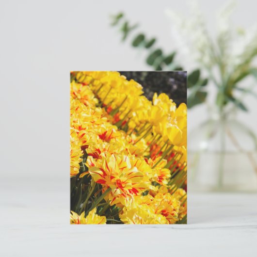 Groeien in goud briefkaart (Staand voorkant)