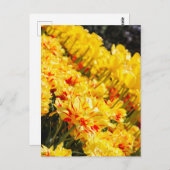 Groeien in goud briefkaart (Voorkant / Achterkant)