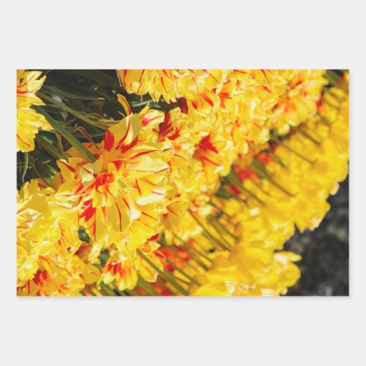 Groeien in goud inpakpapier vel (Voorkant 3)