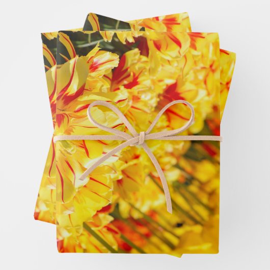 Groeien in goud inpakpapier vel (In situ)