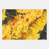 Groeien in goud inpakpapier vel (Voorkant)