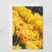 Groeien in goud kaart (Voorkant)