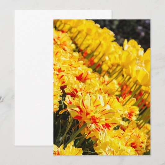 Groeien in goud kaart (Voorkant / Achterkant)