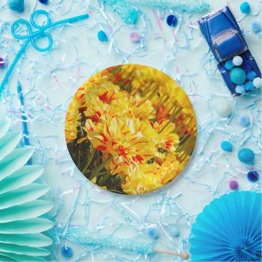 Groeien in goud papieren bordje (Feest)