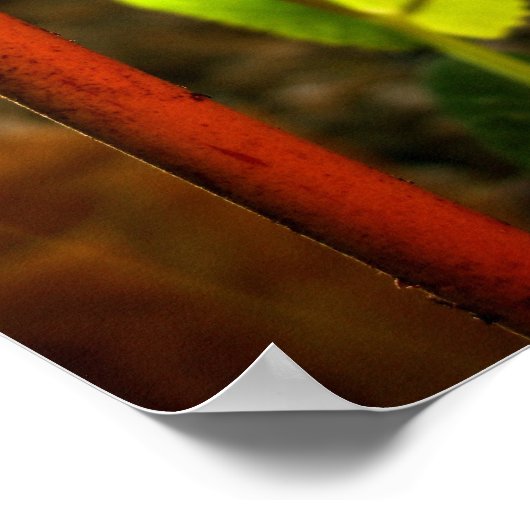 groeien. poster (Hoek)