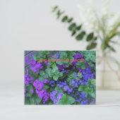 Groeien waar je geplant bent briefkaart (Staand voorkant)