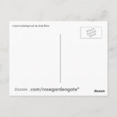 Groeien waar je geplant bent briefkaart (Achterkant)