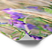 Groeiend graan Poster (Hoek)