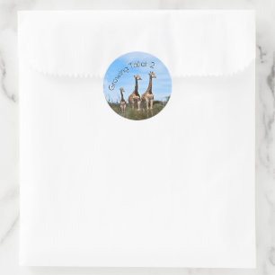 Groeiende Hoge Safari Accent Ronde Sticker