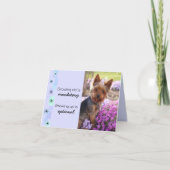 groeiende oude Kaart (Voorkant)