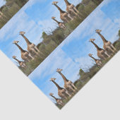 Groeiende Safari Harmonie Tissuepapier (Detail)